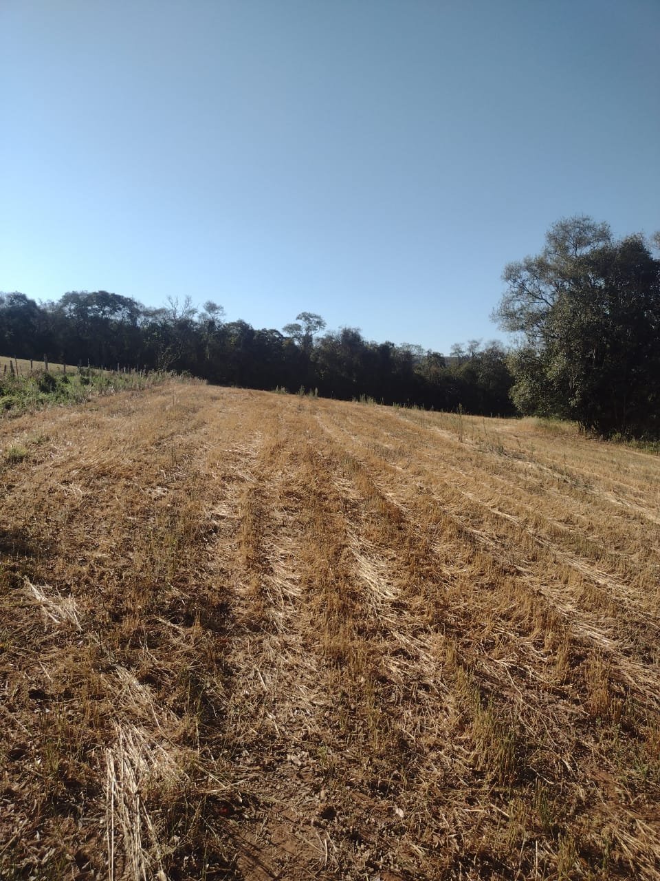 Sitio à venda, Bairro Machadinho, Angatuba/SP